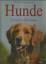 Sarah Whitehead: Hunde