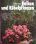 Halina Heitz: Balkon und Kübelpflanzen