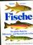 Fische : d. grosse Buch d. Süsswasser- u. Meeresfische in Farbe. - Migdalski, Edward C. und George S. Fichter