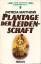 Patricia Matthews: Plantage der Leidensc