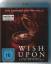 John R. Leonetti: Wish Upon