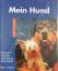 Mein Hund