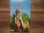 Andrea Pabel: Ein Sommer mit Pferden - W Andrea Pabel: Ein Sommer mit Pferden - W