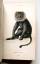 antiquarisches Buch – William Jardine – The Naturalist's Library. Mammalia Vol. I Monkeys. – Bild 5