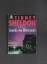 Sidney Sheldon: Jenseits von Mitternacht