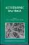 Autotrophic Bacteria - Schlegel, Hans G. Bowien, Botho