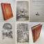 Jules Michelet: The Insect. Illustrated 