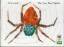 Eric Carle: The Very Busy Spider. Collec