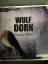 Wulf Dorn: Dunkler Wahn