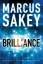 Marcus Sakey: Brilliance