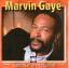 Marvin Gaye: Sexual Healing (Best Of...)