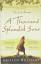 Khaled Hosseini: A Thousand Splendid Sun