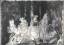 gebrauchtes Buch – Fritz Best – Roma · 50 giorni impressioni – Bild 4