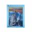 Puzzle "Neuschwanstein" 1500 Teile  Nr.9