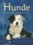 Whitehead, Sarah / Cuddy, Beverly: Hunde