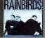 Rainbirds: Rainbirds