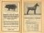 antiquarisches Buch – Bayerische Landesbauernkammer – München, Landwirtschaft Ausstellung und Landes Tierschau 1927 Pferde, Rinder, Schweine, Ziegen,. – Bild 5