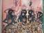 gebrauchtes Buch – Maxim Kantor – New Empire – Bild 3