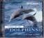 David Britten: Dance of the Dolphins