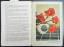 antiquarisches Buch – Döring, Wolf Henry – Farbenfotos leicht gemacht - Wolf H. Döring - – Bild 3