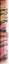 gebrauchtes Buch – Else Buschheuer – Venus – Bild 2