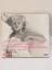 Gute Nacht, Doktor - Die letzten Tonbänder der Marilyn Monroe (Feature, 1 CD) - Gadebusch, Anna Maria; Brebeck, Friedhelm