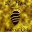 23rd Hour: Immortal Coil