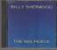 Billy Sherwood (YES): The Big Peace