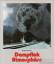 Raimo Gareis: Dampflok Atmosphäre Raimo Gareis: Dampflok Atmosphäre