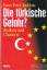 Hans-Peter Raddatz: Die türkische Gefahr