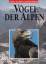 Ulrich Brendel: Vögel der Alpen