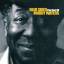 Muddy Waters: Blue Skies - the Best of M