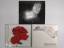 Maximilian Hecker: 3 CDs - Rose, Lady Sl