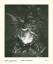 gebrauchtes Buch – John Pound – Beyond Heaven and Hell - Portfolio by John Pound SIGNED / SIGNIERT – Bild 5