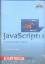 Java Script 1.3 - Dynamisches Web-Publishing - Dellwig, Elmar; Dellwig, Ingo