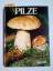 Seymour, Jacqueline (Mitwirkender): Pilz Seymour, Jacqueline (Mitwirkender): Pilz