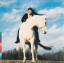 Yungchen Lhamo: Coming Home