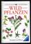 Christopher Grey-Wilson: Wildpflanzen. -