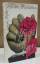 Félicien Marceau: Pflücke die Rosen. Erz Félicien Marceau: Pflücke die Rosen. Erz