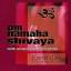 Robert Gass: Om Namaha Shivaya