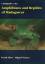 A Fieldguide to the Amphibians and Reptiles of Madagascar - Glaw, Frank; Vences, Miguel