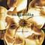 Aimee Mann: Magnolia - Songs By Aimee Ma