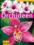 gebrauchtes Buch – Frank Röllke – Orchideen – Bild 2