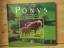 Martin Haller: "Ponys" Grosse Liebe zu k Martin Haller: "Ponys" Grosse Liebe zu k