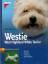 Walter Berghäuser: Westie - West Highlan