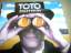 Toto: Mindfields (1999, #4932452)