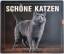 Catherine Davidson: Schöne Katzen. Portr