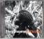 Tracy Chapman: Collection