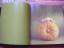 gebrauchtes Buch – Anne Geddes – Fantasy-Baby-Foto-Buch-Willkommen – Bild 2