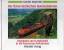 Georg Wagner: Eisenbahn und Landschaft /